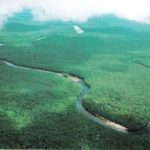 La gaita zuliana Orinoco recorre el mundo rio-orinoco
