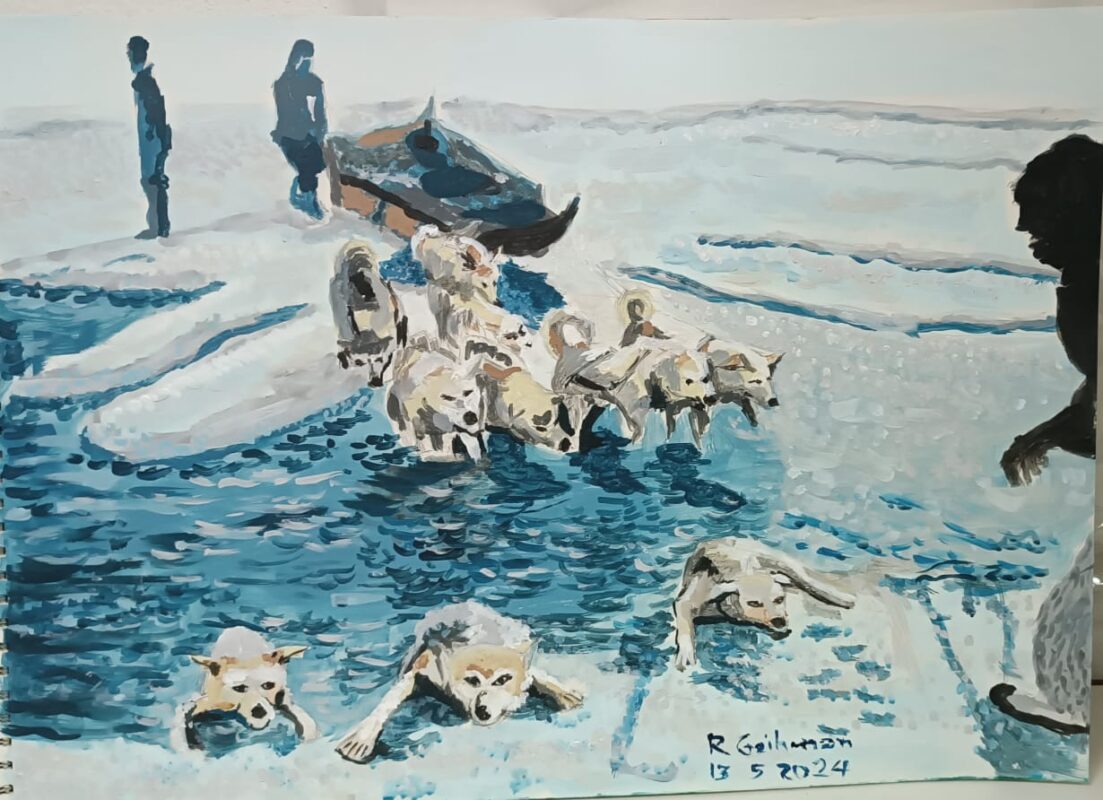 Huskies jalando trineo y pasando frio