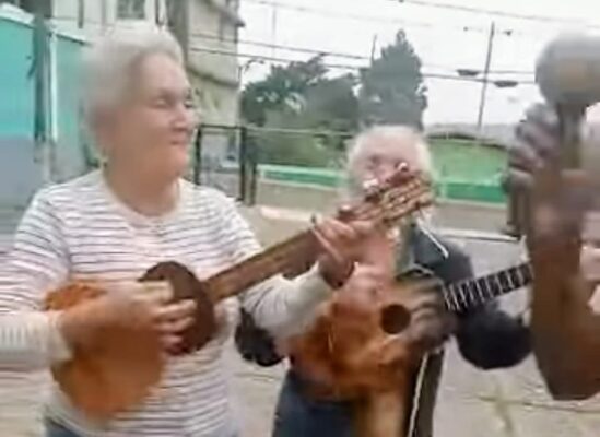 Papelón, Clavo y Sabor