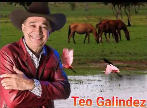 Teo Galíndez El Ruiseñor De Venezuela