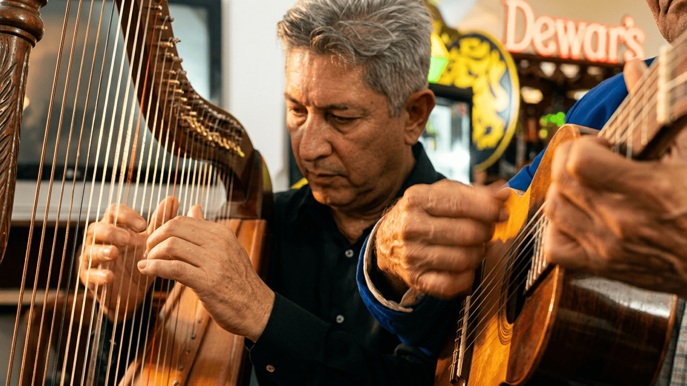 Concierto en la llanura - Leoonardo Ponce en el arpa